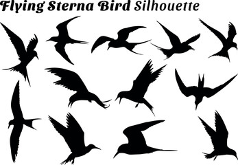 Flying Sterna bird silhouette vector illustration set