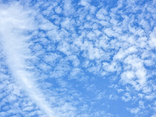 blue sky high shape outdoor group of abstract white clouds background in summer gradient light beauty background. beautiful bright cloud and calm fresh wind air