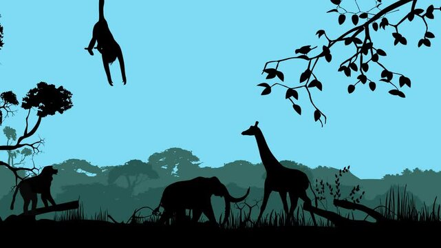 giraffe in the woods
