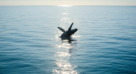 Naklejka premium Majestic powerful humpback whale tail emerging from the calm deep blue ocean water with a bright sun reflection, concept for wildlife conservation, ocean adventure and environmental awareness