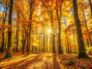 Obraz premium Sunny Autumn Forest: Golden Trees & Copy Space - Stock Photo