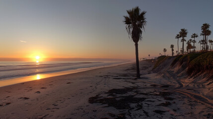 Fototapeta premium sunrise at sandy beach with palm tree