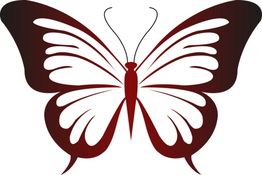 butterfly illustration
