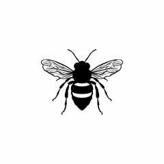 Fototapeta premium Bee Icon