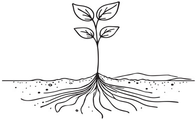line art of a growing plant with leaves and roots symbolizing growth nature and sustainability. vector