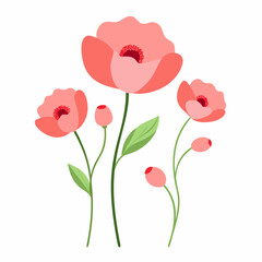 bouquet of red poppies