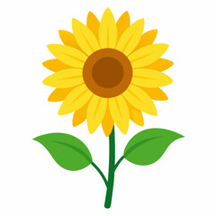 Naklejka premium Sunflower isolated on white background