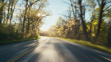 Fototapeta premium Winding Road Through Lush Green Forest Sunlight