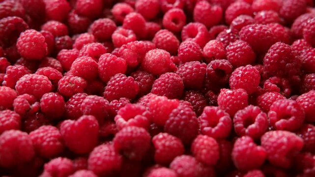Sweet raspberry background. Full frame of fresh raspberries. Red ripe berry photo wallpaper closeup. Juicy berries. Vegetarian, vegan raw food. Organic bio product. From farm to table. Fruit pattern