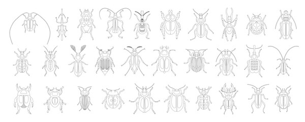 Coloring book of collection of bugs and beetles of variety types and kinds. Different insects. Nature and biodiversity insects species. Beetle set vector illustration isolated on white background.