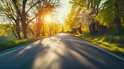 Fototapeta premium Sunlit Road Through Springtime Tree Lined Avenue