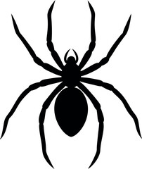 Spider Silhouette with Delicate Legs in Minimal Vector Design