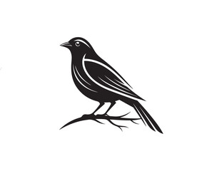 bird logo silhouette vector line art logo design