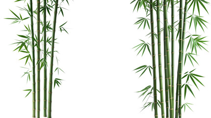 Naklejka premium bamboo (png)