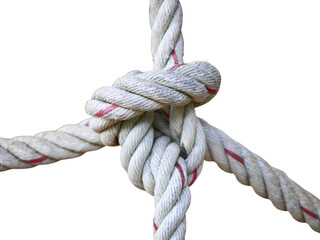Thick nylon rope tied into a knot on transparent background.