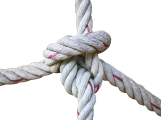 Thick nylon rope tied into a knot on transparent background.