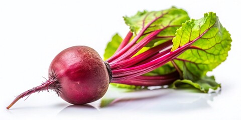 Vibrant Beetroot Isolated on White Background - Miniature Tilt-Shift Photography