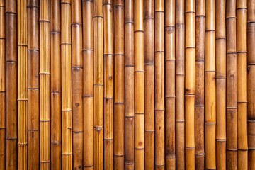 Fototapeta premium bamboo background texture