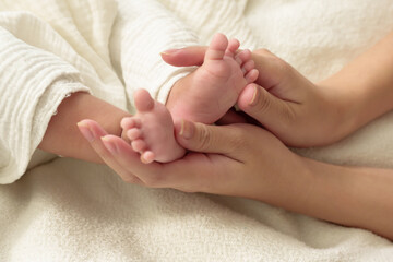 Adult hands gently cradling tiny newborn feet on a soft white blanket. Image conveys love, care,...