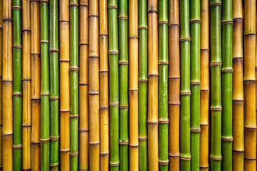 Naklejka premium bamboo forest background