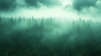 Obraz premium Enigmatic Foggy Forest, Mystical Green Landscape