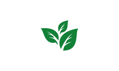 green leaf logo