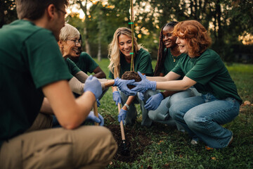 Group of volunteers planting new tree in park