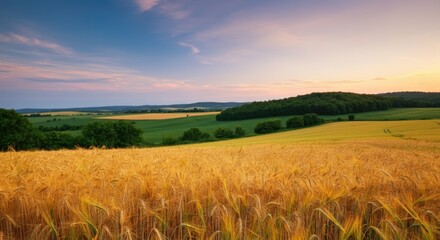 Scenic rural landscape with golden wheat field at sunrise