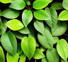 Fototapeta premium Nature Loves, Green Tropical Forest, Bachground Illustration Concept.Generative AI