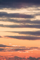 clouds on the sky at sunset. beautiful view. dramatic background in evening light. meteorology backdrop