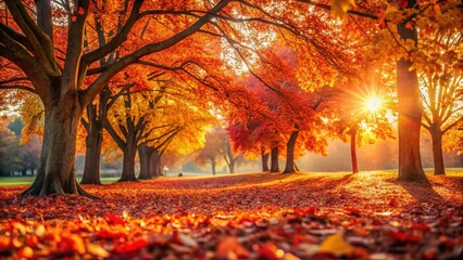 Obraz premium Vibrant Orange Fall Leaves in a Sunny Autumn Park - Natural Background Stock Photo