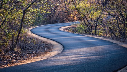 Fototapeta premium Winding Road Through Springtime Woodland Scene