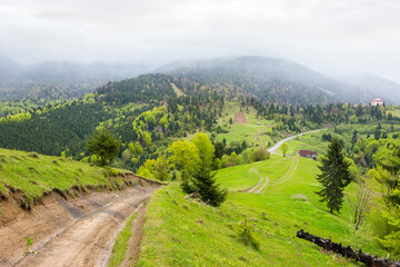 carpathian countryside scenery with forested mountains. open vista. path through green grassy meadow on the hills. cloudy weather in springtime. outdoor adventure