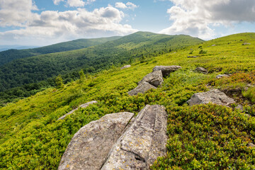 ukrainian alps in summer. cloudy day. boulder on the grassy hillside. carpathian mountain landscape. beautiful nature scenery