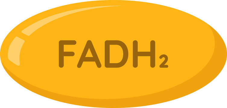 FADH2