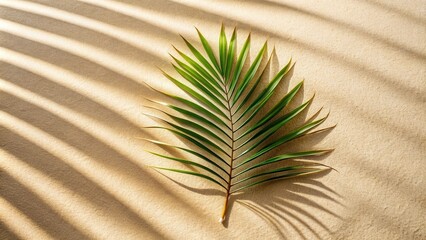 Obraz premium A single palm frond casts a shadow on a soft sandy beach, creating a beautiful pattern of light and shade.
