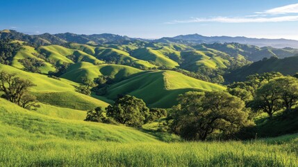 Fototapeta premium Rolling Green Hills Under a Clear Blue Sky