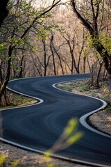 Fototapeta premium Winding asphalt road curves through a spring forest
