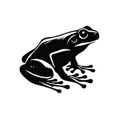 Frog Illustration Vector With White Background.