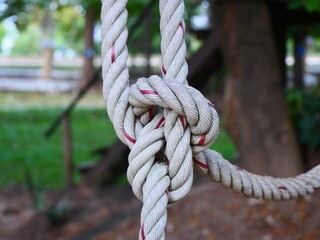 A large rope tied into a knot, tied to a large tree.