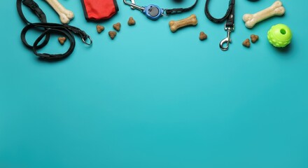 Dog accessories and treats on blue background