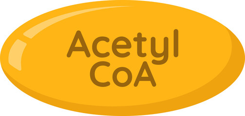 Acetyl CoA