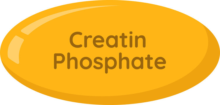 Creatin phosphate