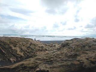 wood on the beach beautiful background