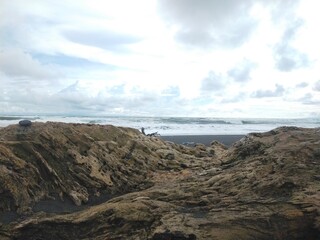 wood on the beach beautiful background