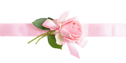 Fototapeta premium rose and bow with horizontal ribbon isolated on white. Valentine's Day decoration