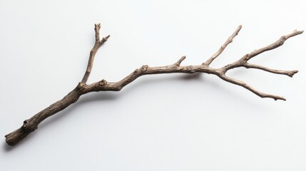 Elegant Rustic Branch: A Minimalist Nature's Art Piece