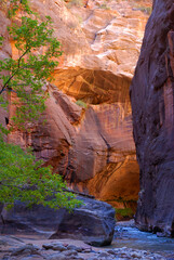 The Narrows