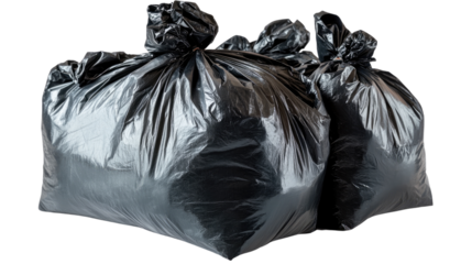 Disposal Dilemma: A pair of black garbage bags, filled to the brim, sit ready for removal.