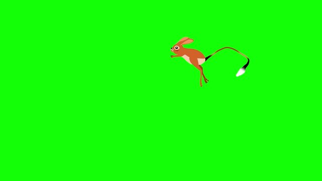 Jerboa jumping green background